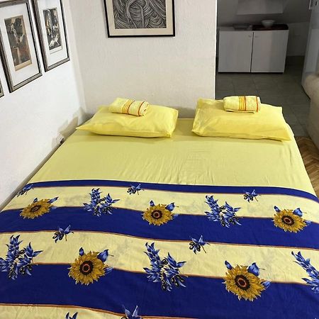 Srba Apartment Beograd Bagian luar foto