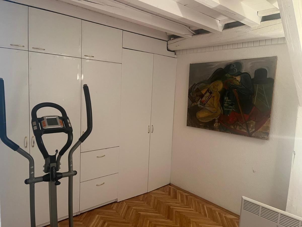 Srba Apartment Beograd Bagian luar foto