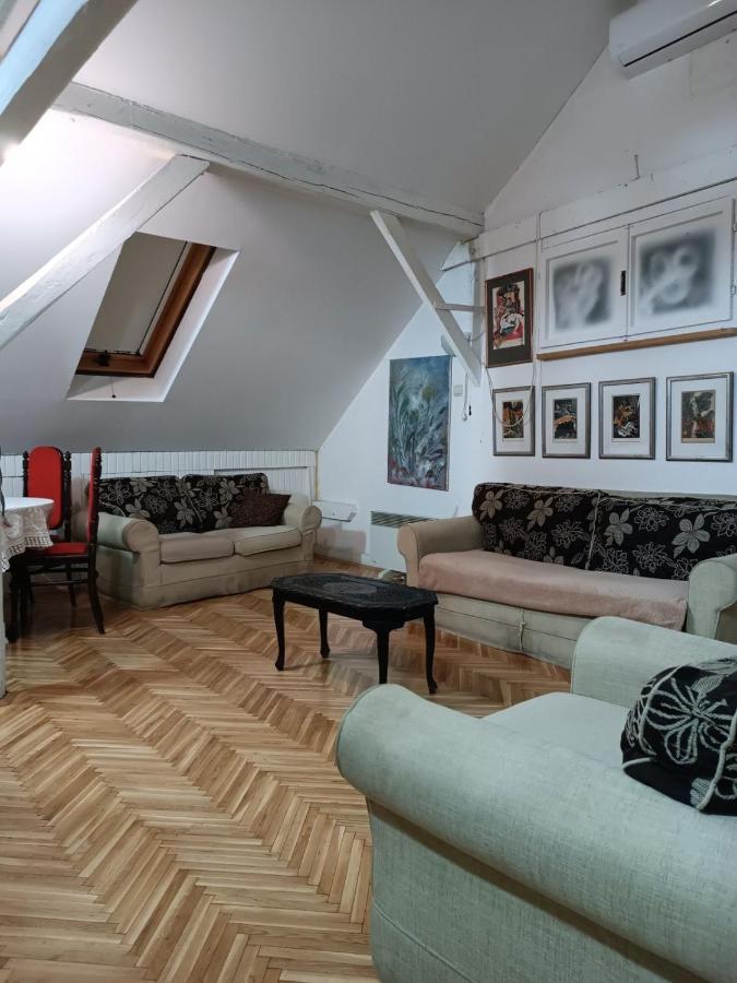 Srba Apartment Beograd Bagian luar foto